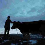 У кіно можна подивитись новий мультфільм Мішеля Гондрі