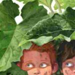 Що почути та побачити у Львові?