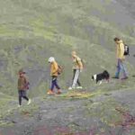 Оголосили переможців музичної премії «Греммі»