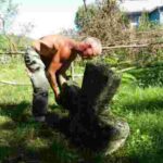 Мстислав Чернов отримав премію Гільдії режисерів Америки