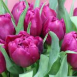 Що віщує 8 Березня: найцікавіші прикмети для жінок