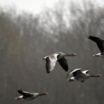 Як «Друга Ріка» нагадує, що втрачати одне одного — занадто дорого